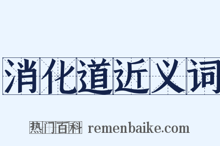 消化道近义词是什么意思的图片